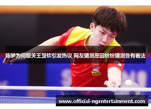 陈梦为何取关王楚钦引发热议 网友猜测原因纷纷猜测各有看法
